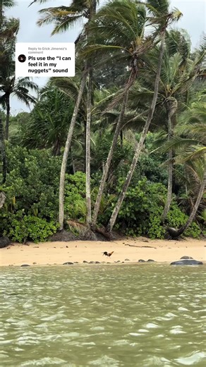 Chicken Nugget Dance Video from Hawaii