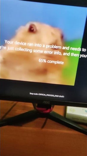 Dramatic Look Chipmunk Has BSOD #dramaticlook #bsod #chipmunk