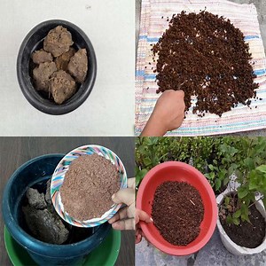 145K views · 3.5K reactions | Compost Making Process For Garden - How Make Compost At Home | Rana Craft | Facebook