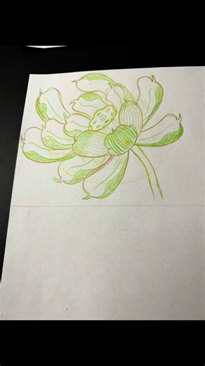 Lotus Farming: A Comprehensive Guide from Start to Finish