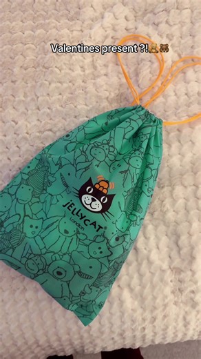 Linked below ! #jellycat #valentinesday #fyp #CapCut