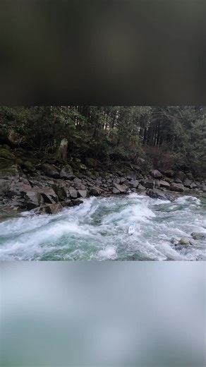 RC Boat Bashing! #rcadventures #rc #rcbashing #rccrawler #rcboat