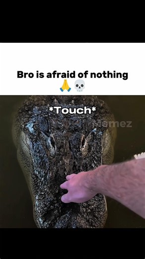 Bro 🙏💀