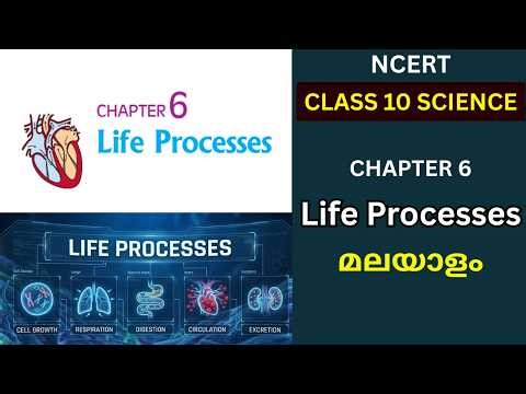 class 10 chapter 6 science life process Malayalam