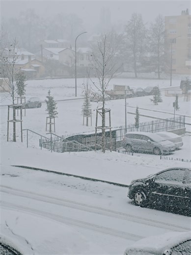 La Neige à Mosel : Un Hiver Blanc