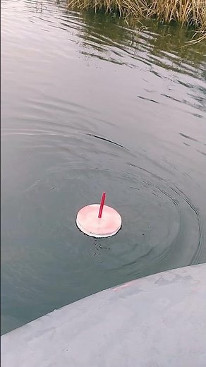 Щука тащит кружок. Красивая поклевка.Рыбалка на живца