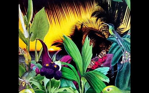 Lonnie Liston Smith - Loveland Full Album (1978)