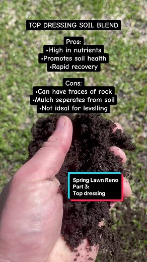 Spring Lawn Reno: Effective Top Dressing Techniques