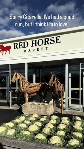 Discovering Red Horse Market: A Gourmet Haven in Southampton