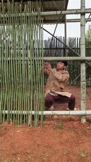 Techniques for Building the Walls of a Bamboo House with Bamboo