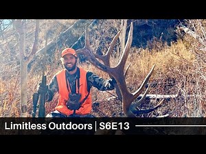 Incredible Last Minute Colorado Bull Elk - Part 4 | S6E13 | Limitless Outdoors