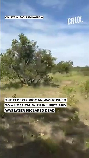 US Tourist Killed In Elephant Attack