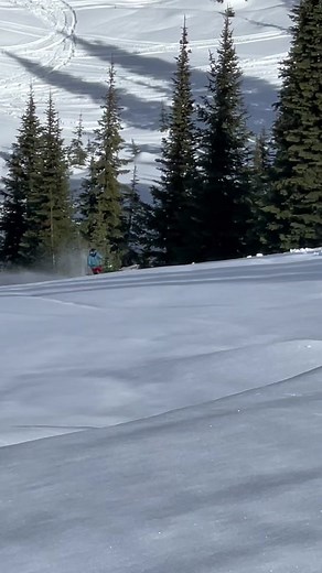 The Ultimate Arctic Cat Maverick Walker Turbo Wheelie King