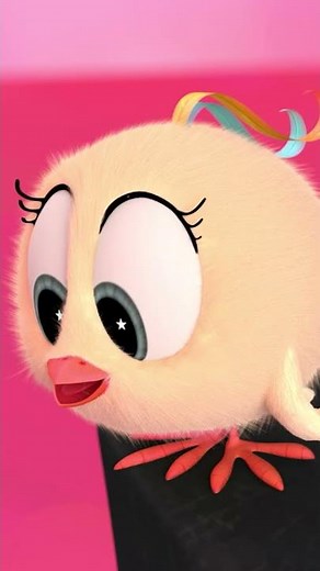 SHORTS CHICKY | RUN CHICKY RUN! | Where's Chicky #shorts