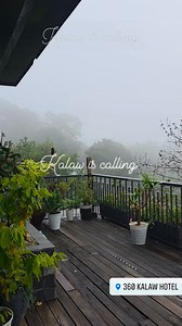 Into the Mist | 360 Kalaw Hotel
