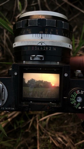 Analog Photography with Nikon F2