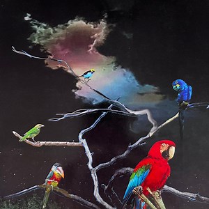 Alex G - Live From Union Transfer