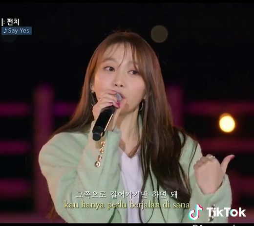 Say Yes Punch and Loco OST Moonlovers Lyrics Live Performance