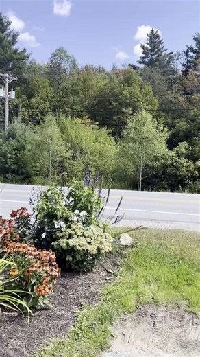 Snow Republic Brewery🍺🏝️ Open 7 days a week, Snow Republic offers an island oasis with positive vibes, craft brews and delicious food right in West Dover. With more than 15 rotating taps and pizza on weekends, there's always plenty to enjoy! 📍 33 Vermont Route 100, West Dover, VT 🔗 https://snowrepublicbrewery.com/ #visitvermont #wherevermontingbegins #sovtbrewery | Southern Vermont Deerfield Valley Chamber