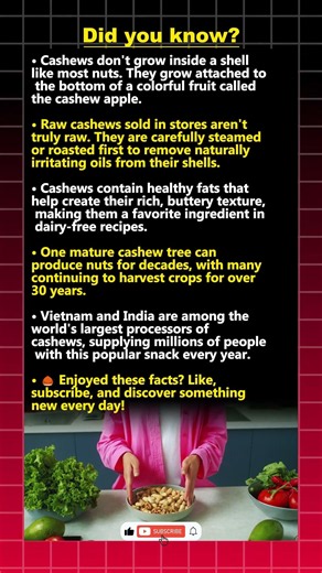 Cashew Secrets That Will Surprise You! 🌰