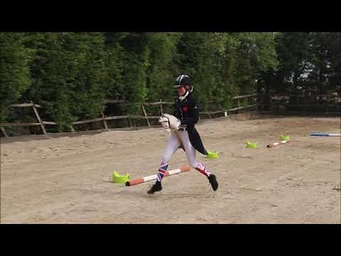 Dressage Hobby Horse Challenge - Grand Prix Freestyle