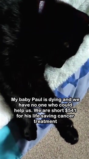 I’m terrified that Paul won’t survive without support