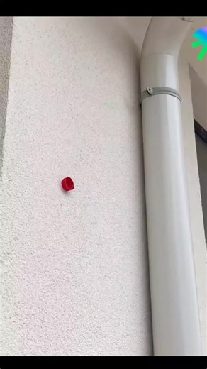 Life Hacks for Everyday Living in the USA