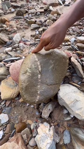 gold prospecting 🧽✅Finding gold in sand gold prospecting for beginner #gold #fyp #goldprospecting #goldhunting #goldmining