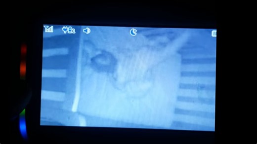 They rushed into their baby’s room after watching his leg lift twice… the orb was still on the monitor but invisible beside the crib