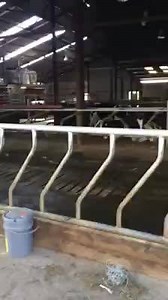 10K views · 190 reactions | Very tidy new 2 Robot installation in Westmeath replacing parlour. Mainly spring calving. A/B grazing. Full milk recording with SCC counter, mastitis detection, feed to yield, weighing floors, heat detection & automatic drafting. New extension beside old cubicle shed. Watch for very important comments at end of video!! | Lely Center Mullingar Robotic Milking | Facebook