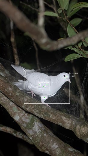 Exploring Generative Art with TouchDesigner Techniques