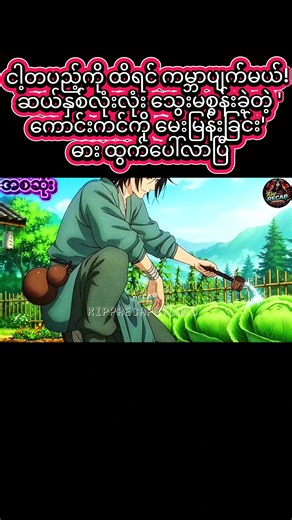 ဒါကားလေးစဆုံးတောင်းထားတာများလို့စဆုံးတင်ပေးလိုက်ပြီဗျ #ရောက်ချင်တဲ့နေရာရောက်👌 #tiktokmyanmar #myanmartiktok🇲🇲🇲🇲 #foryou #recap