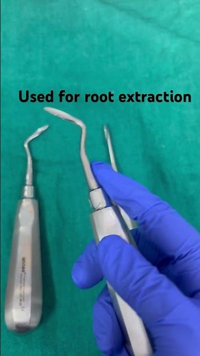 Apexo elevator - Root extraction #dental#dentist#dentalknowledge#apexoelevator#extraction#bds#shorts