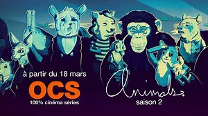 5K views · 17 reactions | #Animals. Vu à New York : des puces qui méditent sur la vie, des cafards qui luttent pour leur survie, des pigeons qui discutent de complications familiales, des écureuils qui ont des problèmes de croissance, des chats en lice pour le pouvoir ! Animals. saison 2 dès le 18 mars sur OCS. | CINE+ OCS | Facebook