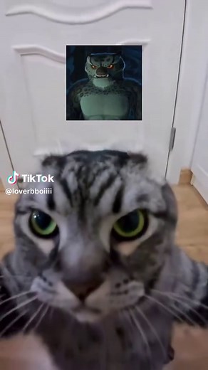 Bro Thinks He's Him: Kung Fu Panda x Hood Trap Cat