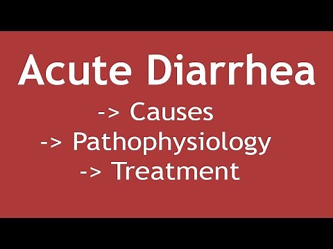 Acute Diarrhea (Causes, Pathophysiology & Treatment) | Dr. Shikha Parmar