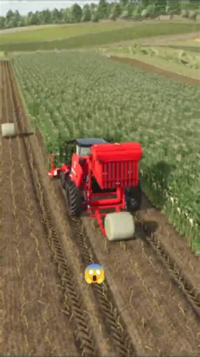 Corn Silage Baling with the Lizard AgriFlex SPB 🌽💨🚜