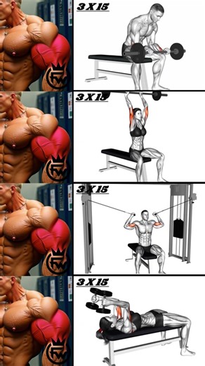 Fit Work Out on Instagram: "Biceps & Triceps Killer Combo Workout 💪🔥 . . . . . . . . . . #bicepsworkout #tricepsworkout #armworkout #bicepstriceps #biceppump #triceppump #armday💪 #fitnessreels #gymreelsindia #workoutreels #viralreels #reelsindia #gymmotivation #fitindia #homeworkout #bodybuildingmotivation #armgains #biggerarms #gymvideos #indianfitness"