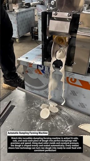 Automatic Dumpling Forming Machine | Perfect Dough Folding Technology