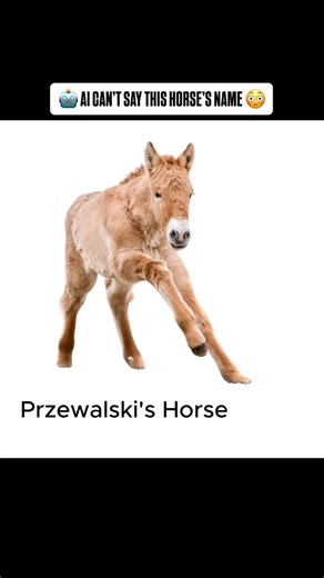 Colossal Biosciences on Instagram: "AI doesn’t seem to know it, but Przewalski’s is actually pronounced “shuh-VAL-skees.” Blake Russell set it straight, and he should know. He’s the President of Viagen, the company that cloned the first Przewalski’s horse, and one that Colossal just acquired. The Przewalski’s horse is the world’s last truly wild horse. In 2020, Viagen made history by cloning one from DNA cryopreserved by the San Diego Zoo back in the 1980s. 🤯 Once extinct in the wild, the speci