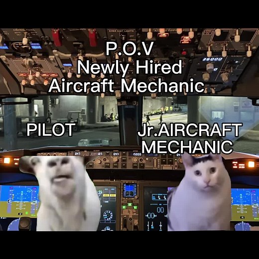 Hilarious Aircraft Mechanic Meme Compilation