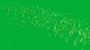 Confetti, Explosion, Festival