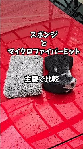 Sponge and microfiber mitt #automobile #carwash #detailing #carshampoo #surluster #carwash