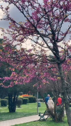 Tirana @albanien.goldina.reisen Die Hauptstadt Albaniens TIRANA🇦🇱 #tirana #albanien #albania #travel #visitalbania #reisen #goldinareisen #visittirana #albania | Visit Tirana