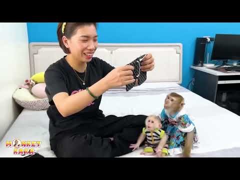 Monkey Kaka sat attentively watching Mom dress Monkey Mit in new clothes.