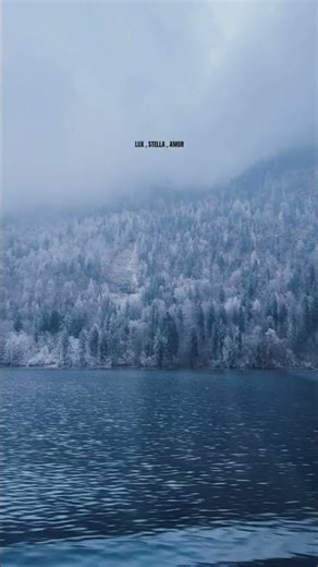 #bavaria #bavarianalps #konigssee #travel #shorts #europe #snowfall #snowstorm #nature #bavaria #ice