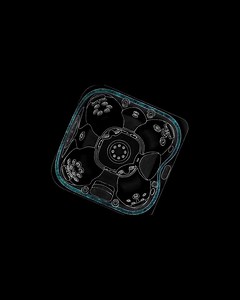 12 reactions | Our premium ergonomic seating makes a Jacuzzi® Hot Tub hydromassage feel so good. The contoured seating and perfectly aligned recessed jets deliver an enhanced soaking experience we know you'll enjoy. Discover more at https://bit.ly/2X1C4U9. #JacuzziOfficial #JacuzziBrand #JacuzziHotTub #HotTubs #Hydromassage #Hydrotherapy #PremiumLifestyle #Premium #HotTubLife #HotTubGoals #Science | Jacuzzi | Facebook