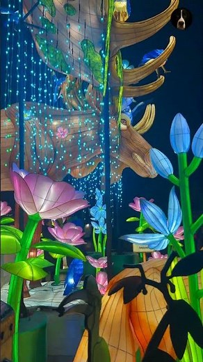 Seattle Zoo Lights ✨ Magical Night at Woodland Park Zoo