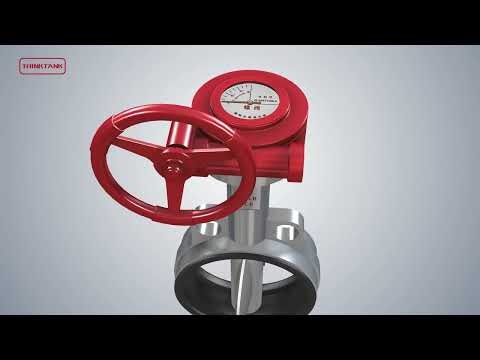 Centerline Soft Seated Butterfly Valve Assembly & Structure | THINKTANK