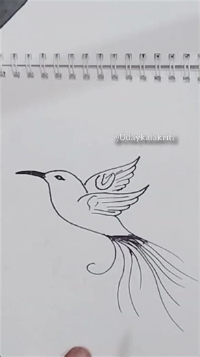 How to draw easy bird drowing # simple bird drowing #new Drowing #Viral short #new pencil sketch